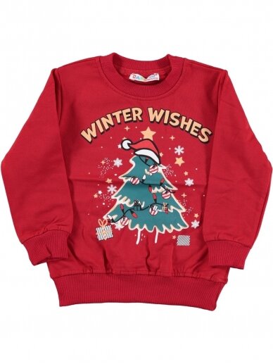 Kalėdinis džemperis Winter Wishes 2878D309