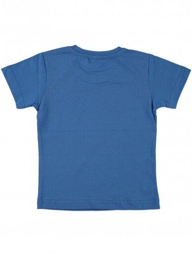 Mėlynos spalvos marškinėliai 0052D12