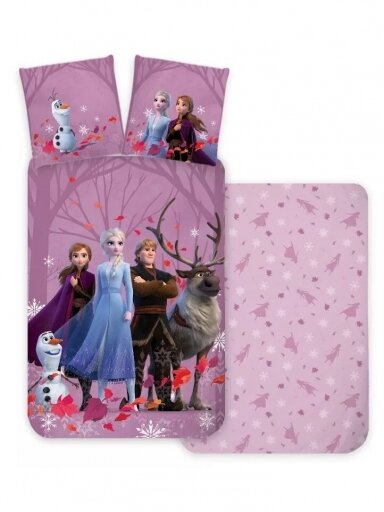 Patalynės komplektas Frozen Purple 3593D221