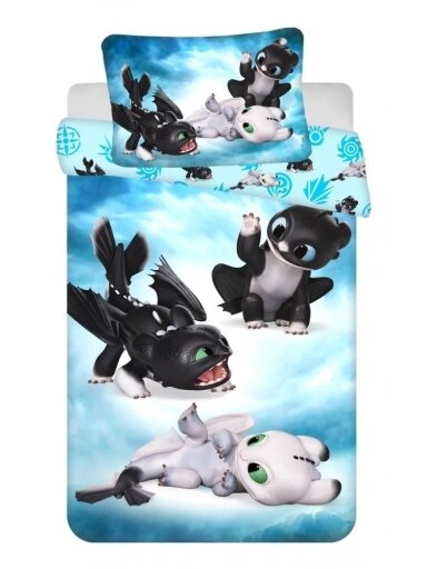 Patalynės komplektas How To Train Your Dragon 3529D106