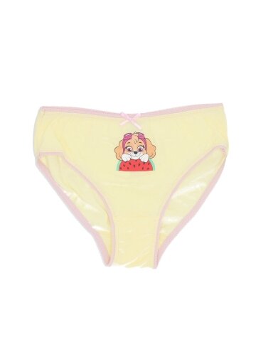 Paw Patrol 3 kelnaičių komplektas Summer Fruits 2626D2
