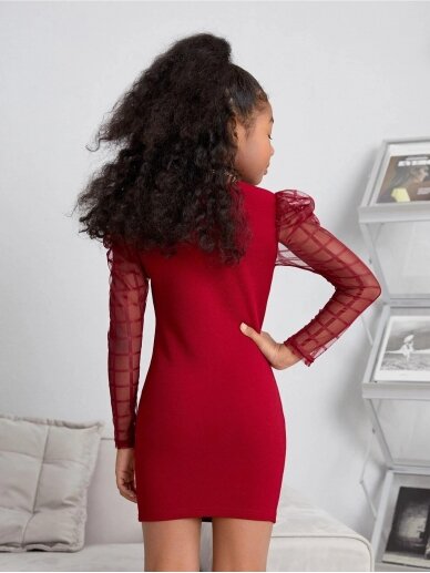 Stilinga burgundiškos spalvos suknelė 2249D02 1
