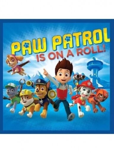 Veido ir rankų rankšluostis Paw Patrol Magic 3062D04 251216