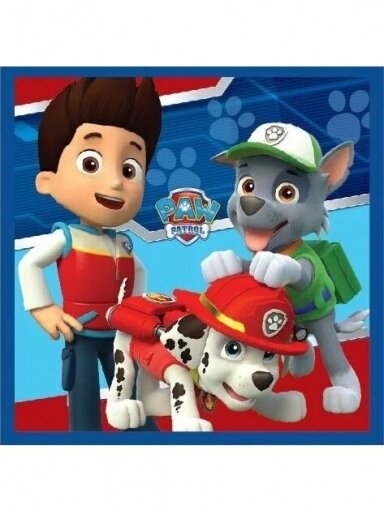 Veido ir rankų rankšluostis Paw Patrol Magic 3067D01