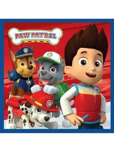 Veido ir rankų rankšluostis Paw Patrol Magic 3068D02